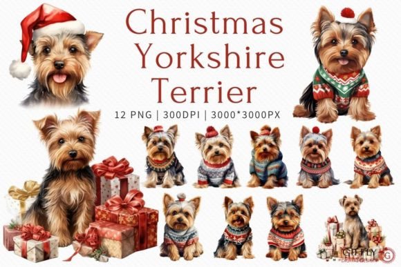 Christmas Yorkshire Terrier Watercolor for Illustrations